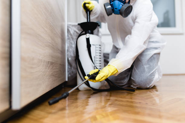 Best Best Pest Control Near Me  in West Buechel, KY
