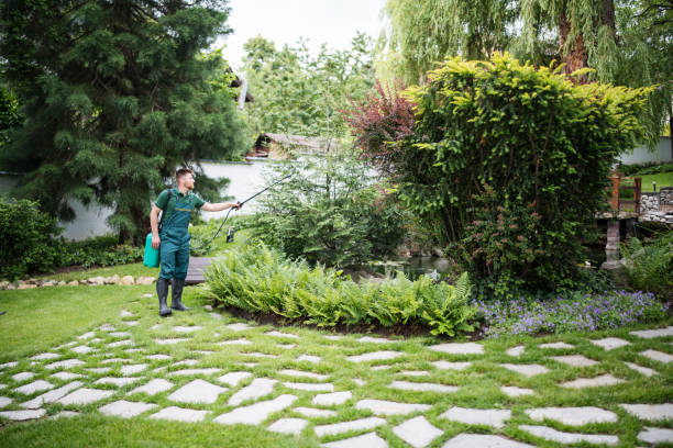 Best Wasp Removal Services  in West Buechel, KY