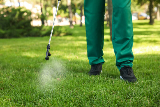Best Ant Control Services  in West Buechel, KY