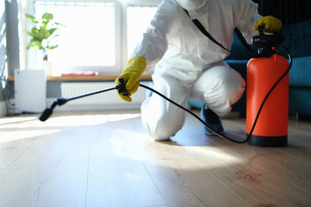 Best Pest Removal Services  in West Buechel, KY