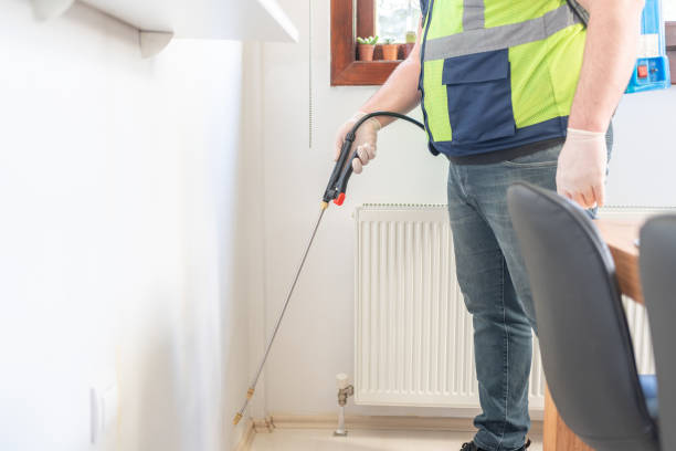 Best Rat Extermination Near Me  in West Buechel, KY