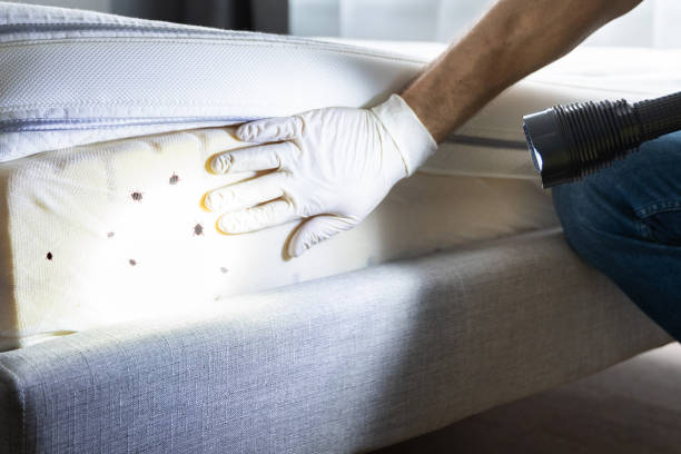 Best Pest Control for Businesses  in West Buechel, KY