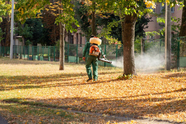 Best Commercial Pest Control Services  in West Buechel, KY