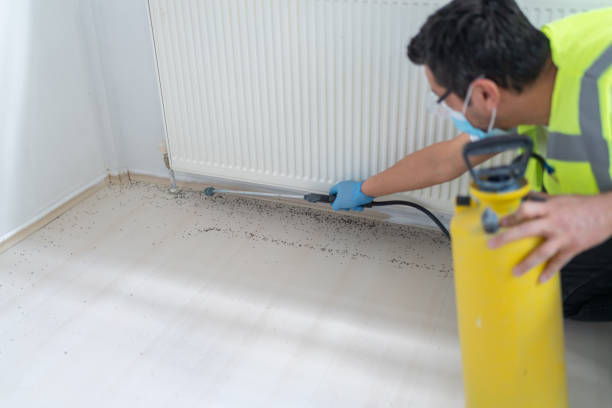 Best Pest Control Near Me  in West Buechel, KY