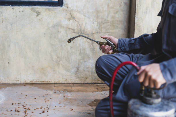 Best Pest Prevention Services  in West Buechel, KY