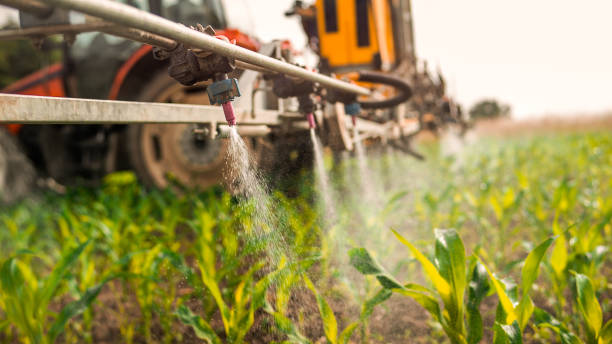 Pest Control Cost in West Buechel, KY